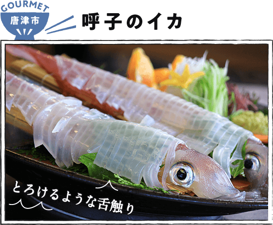 唐津市  呼子のイカ